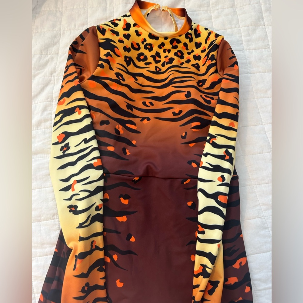 Tiger dance costume